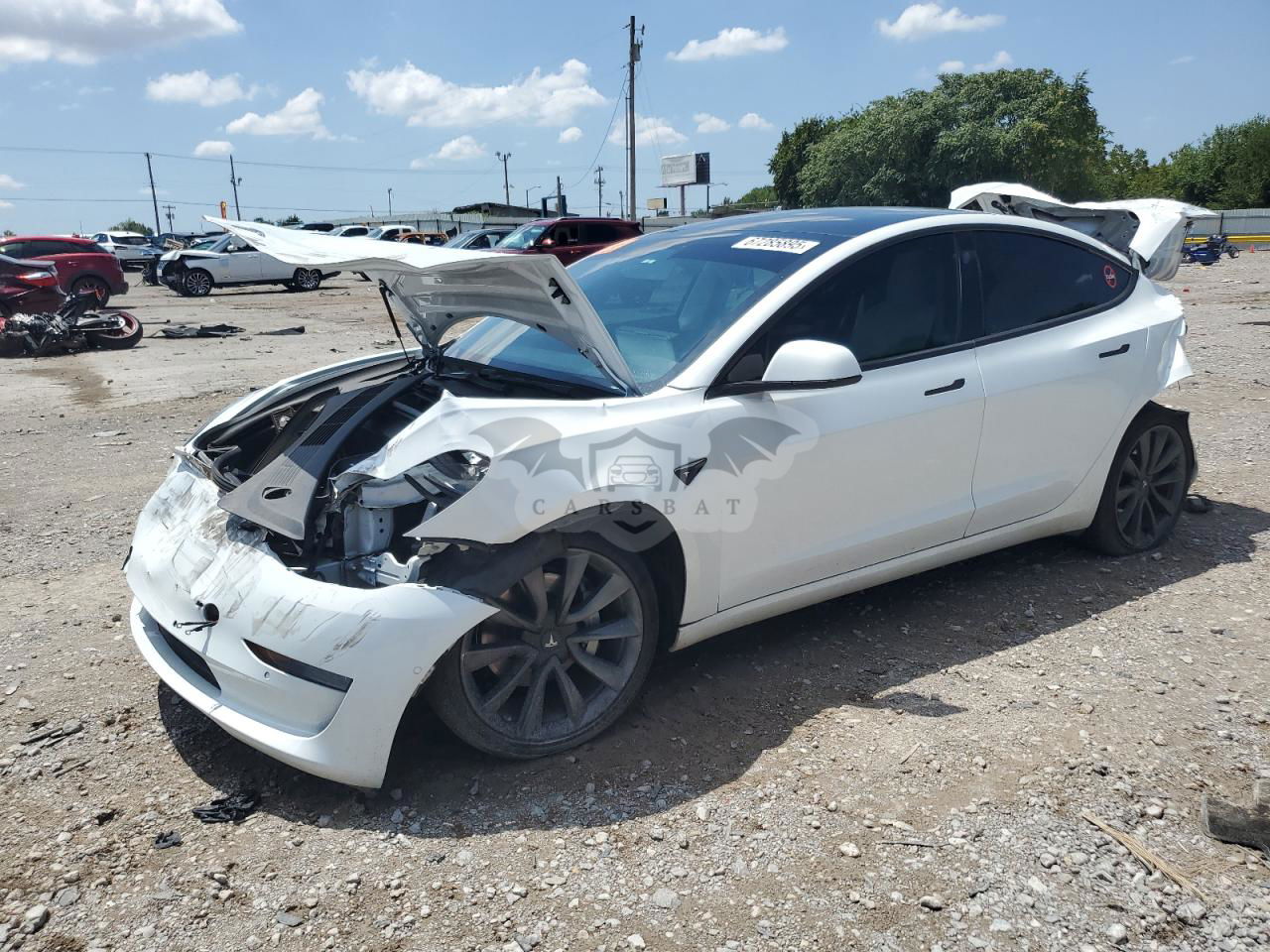 Tesla Model 3 2019