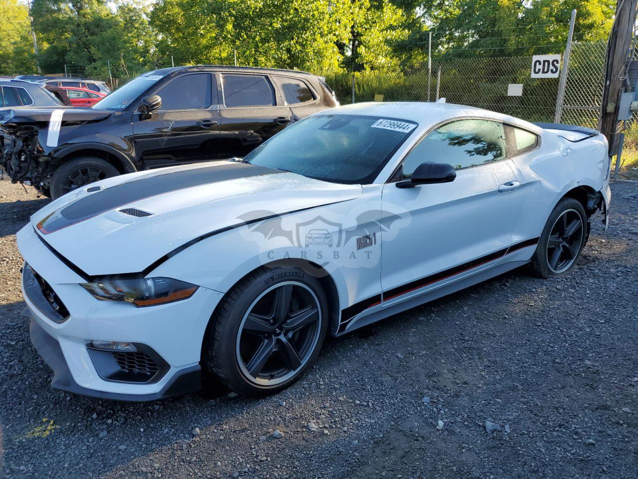 Ford Mustang MACH I 5.0L  8 2021