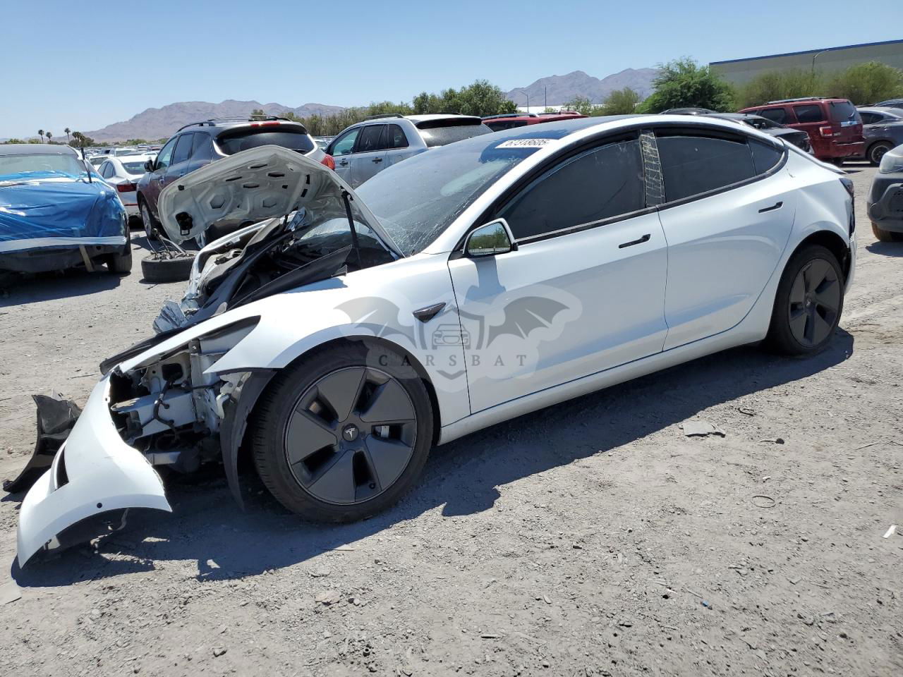 Tesla Model 3 2021