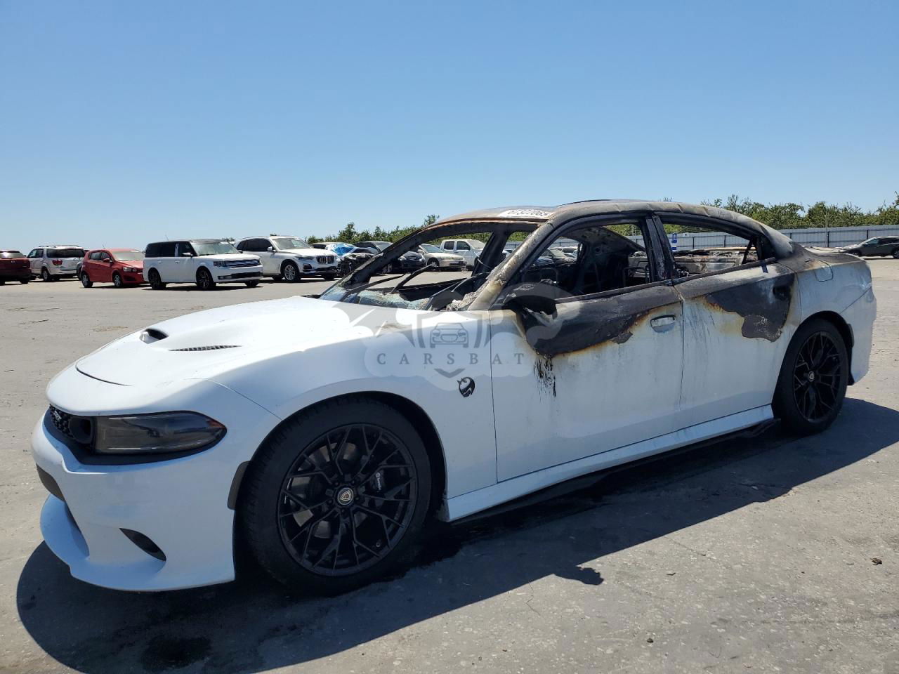 Dodge Charger SCAT PACK 6.4L  8 2023