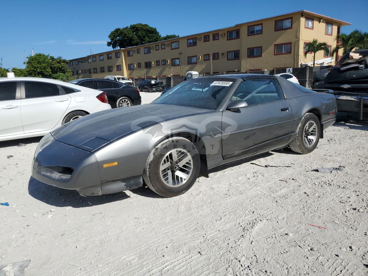 Pontiac Firebird 3.1L  6 1991