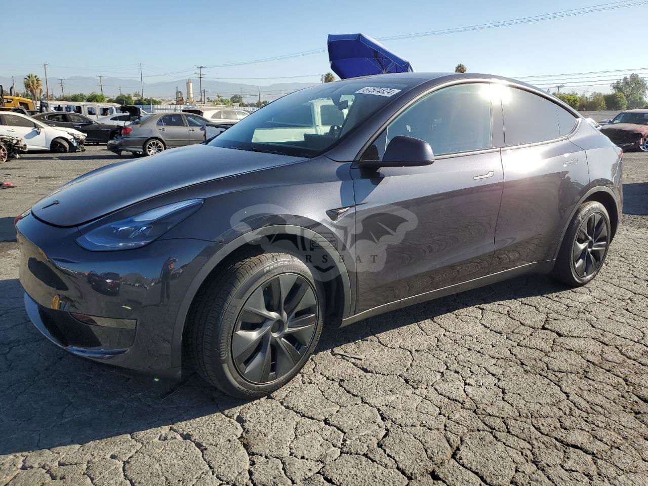 Tesla Model Y 2024