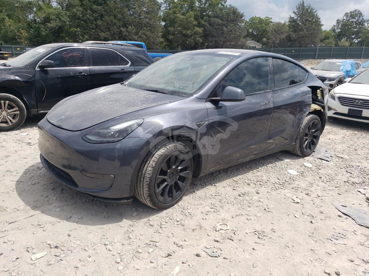 Tesla Model Y 2023