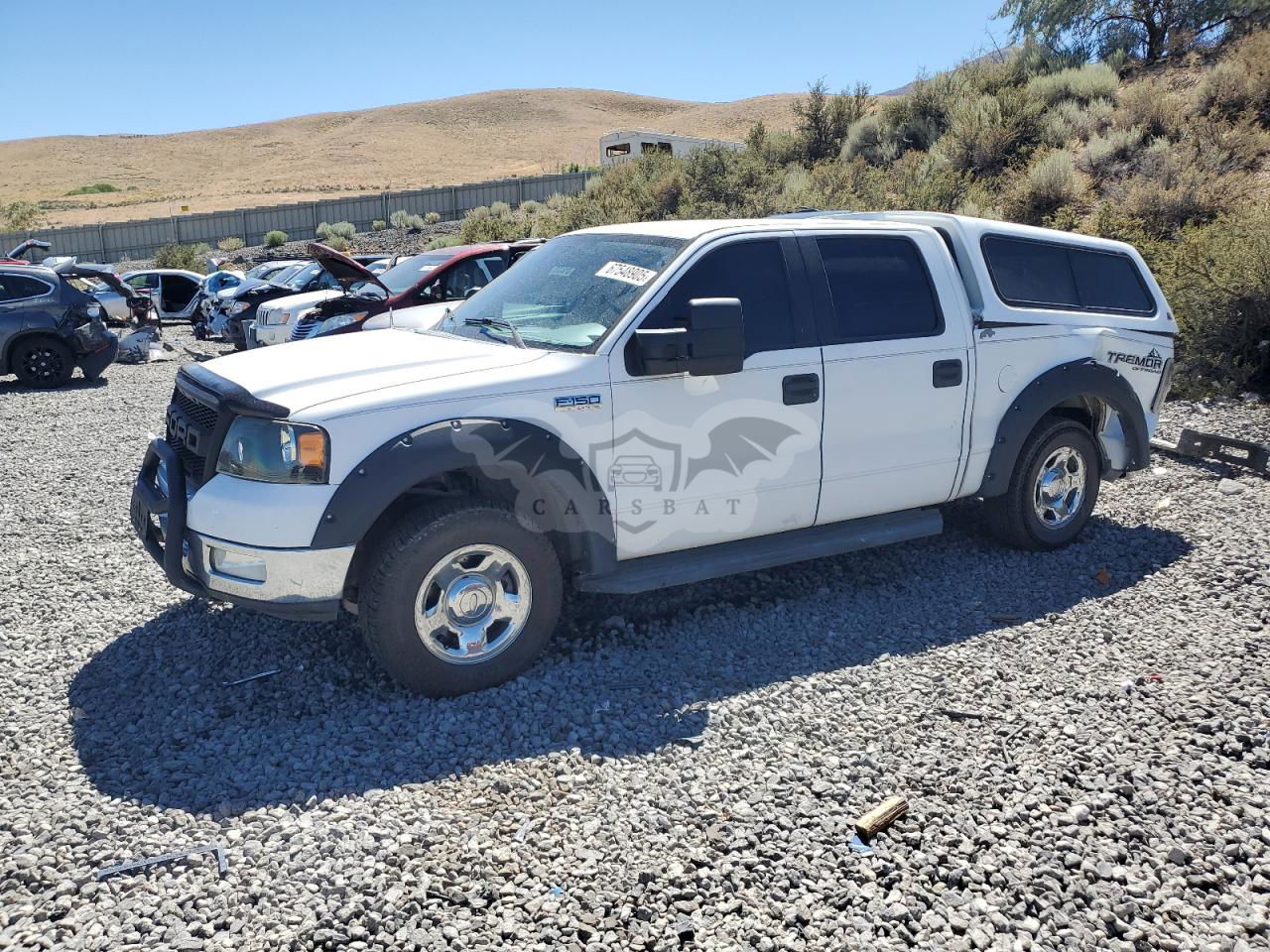 Ford F-150 SUPERCREW 5.4L  8 2005