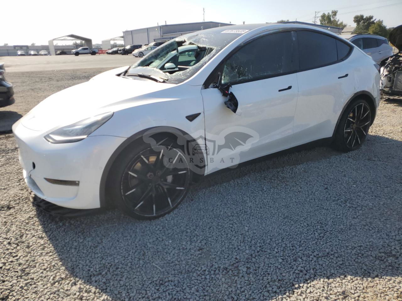 Tesla Model Y 2021