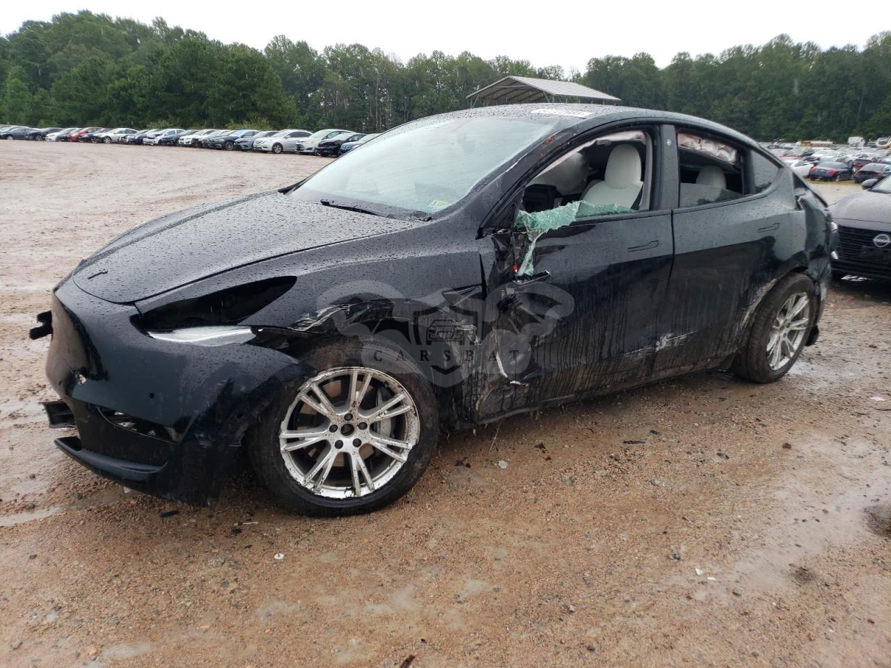 Tesla Model Y 2021
