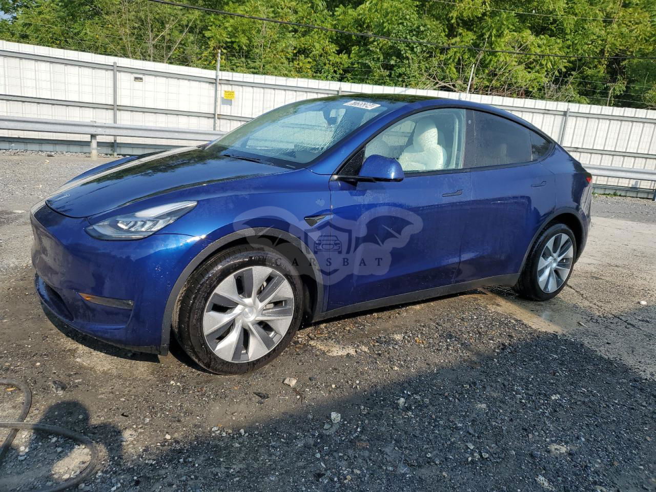 Tesla Model Y 2020