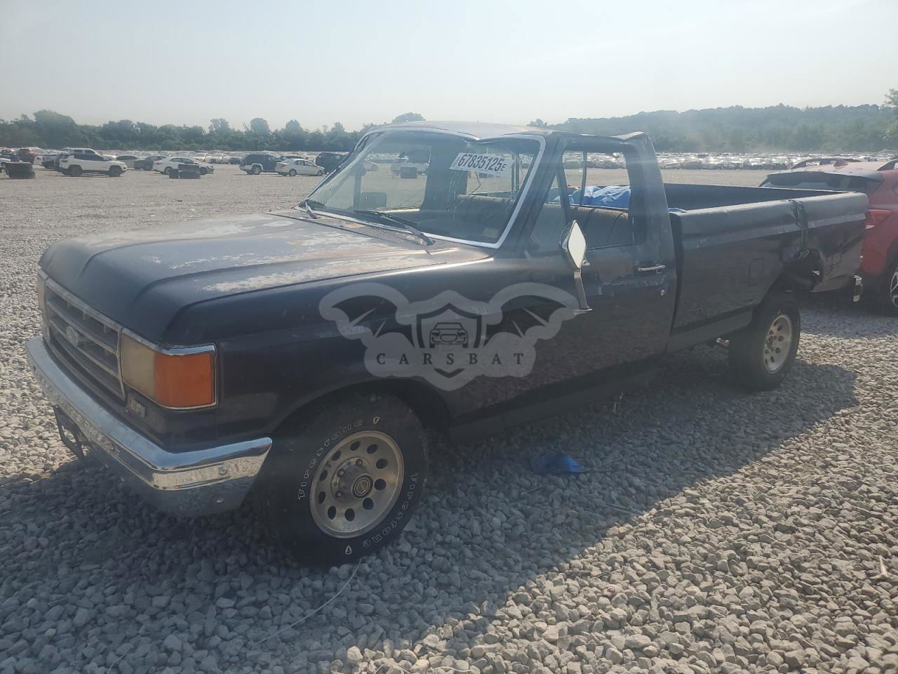 Ford F-150 4.9L  6 1989