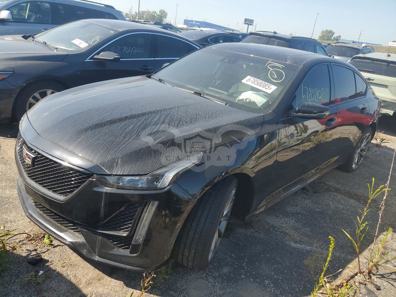 Cadillac CT5 SPORT 2.0L  4 2020