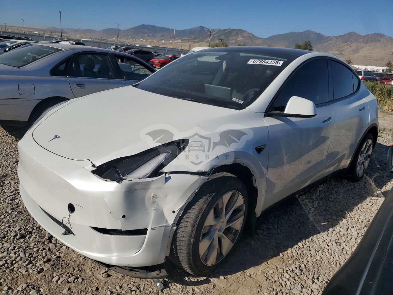 Tesla Model Y 2021