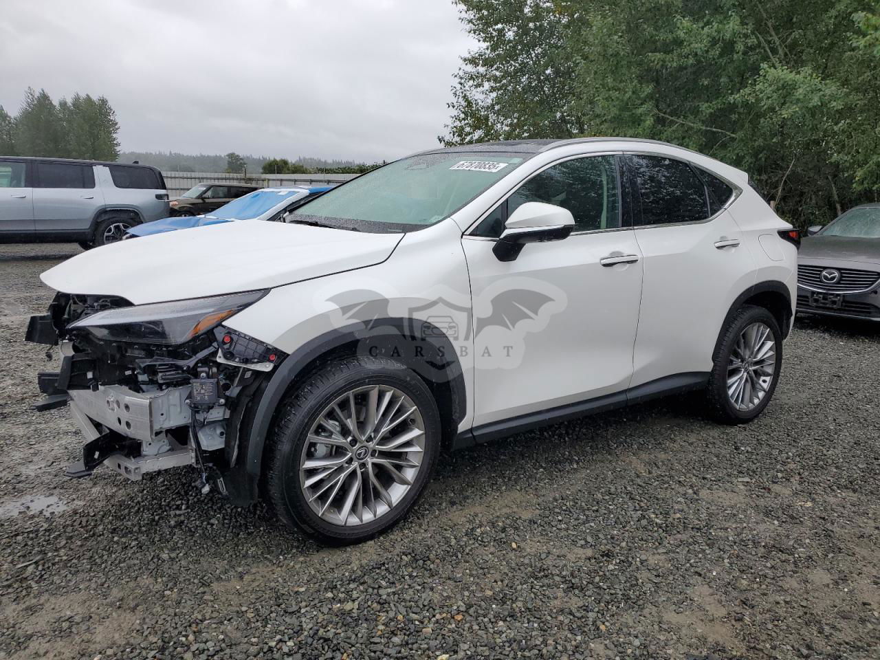 Lexus NX 350 LUXURY 2.4L  4 2024