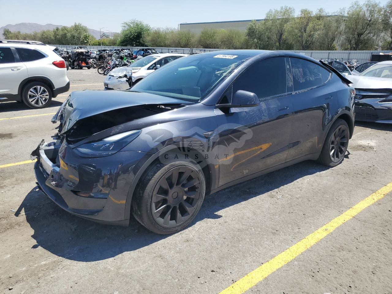 Tesla Model Y 2024