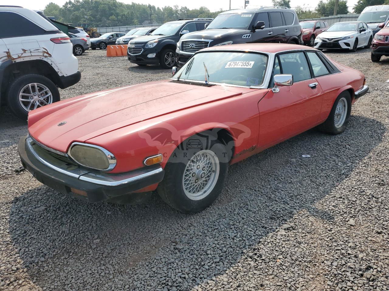 Jaguar XJS 5.3L 12 1989