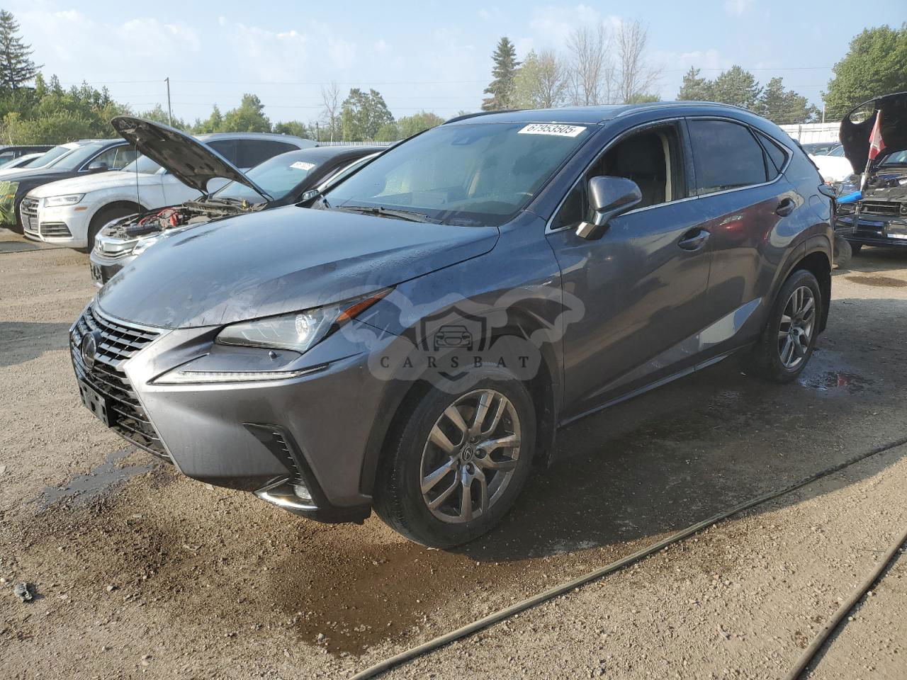 Lexus NX 300 2.0L  4 2020