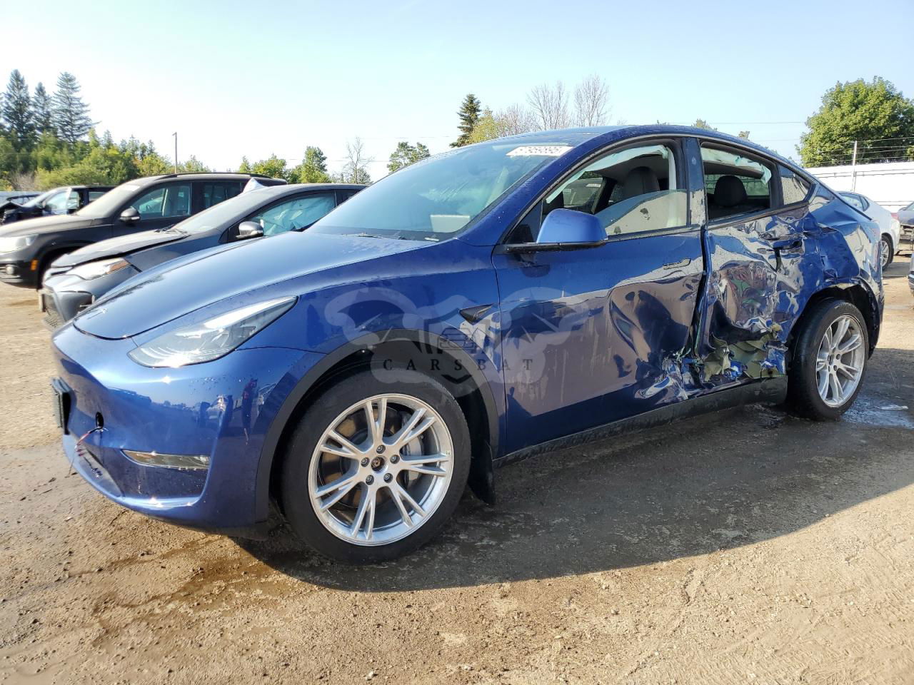 Tesla Model Y 2024