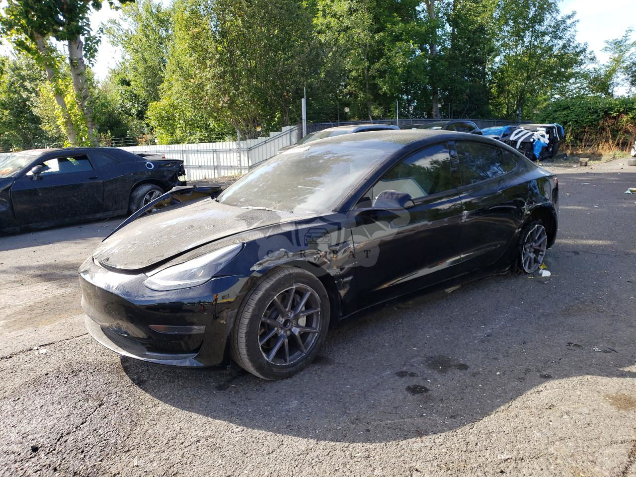 Tesla Model 3 2023
