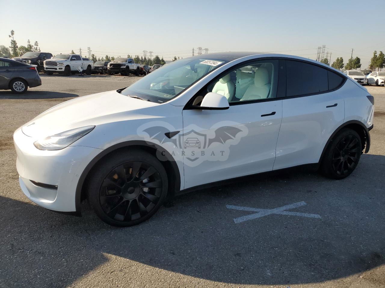Tesla Model Y 2021