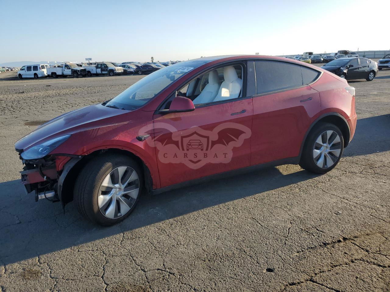 Tesla Model Y 2024