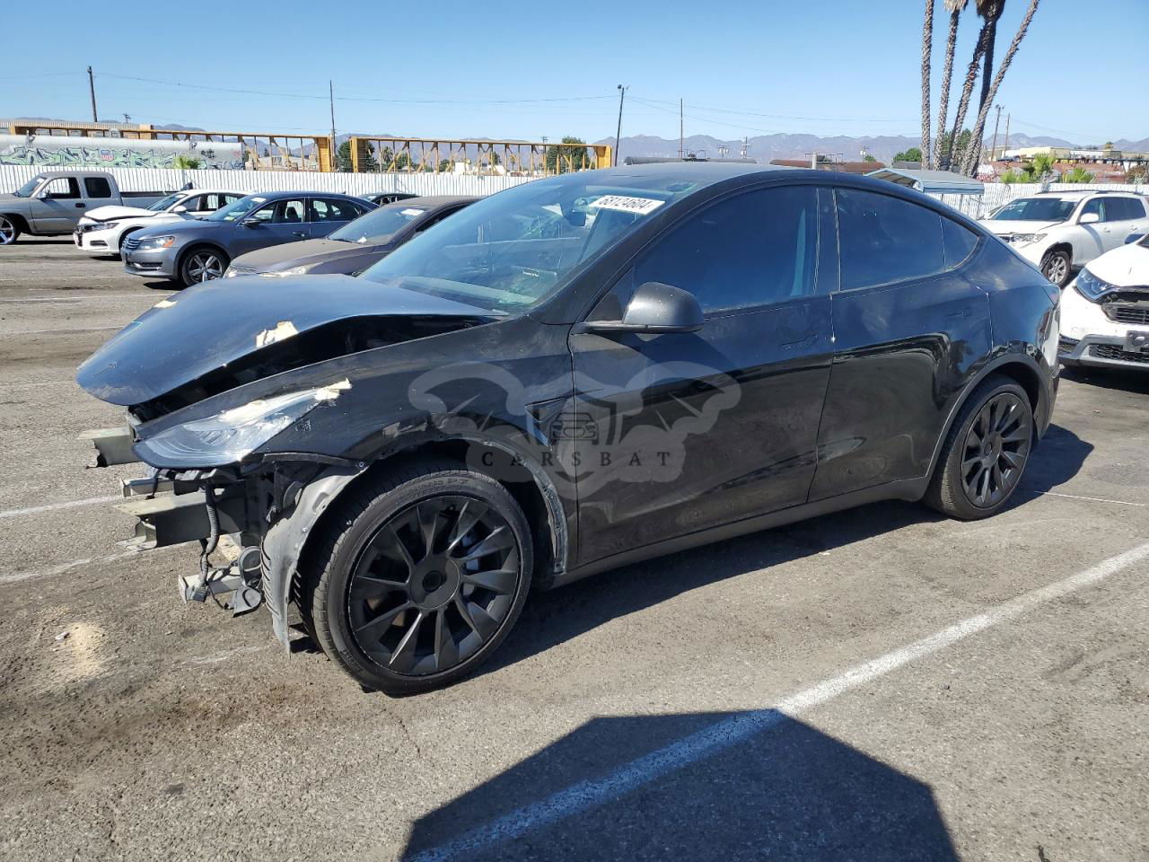 Tesla Model Y 2020