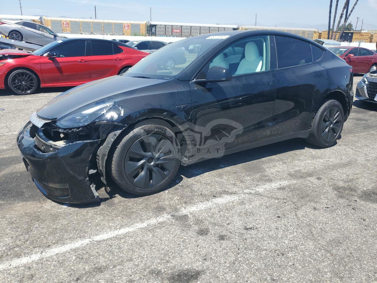 Tesla Model Y 2024