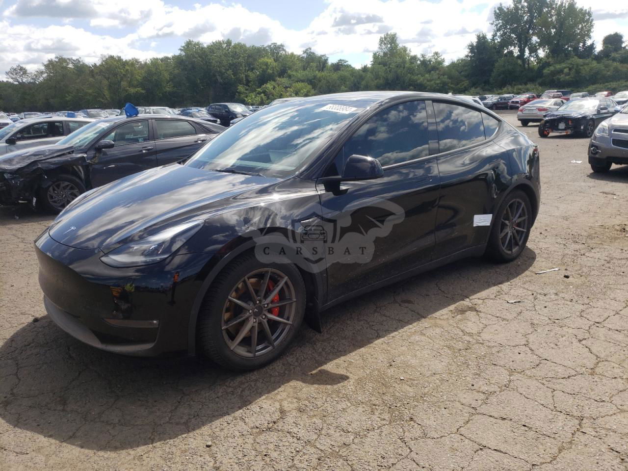 Tesla Model Y 2021