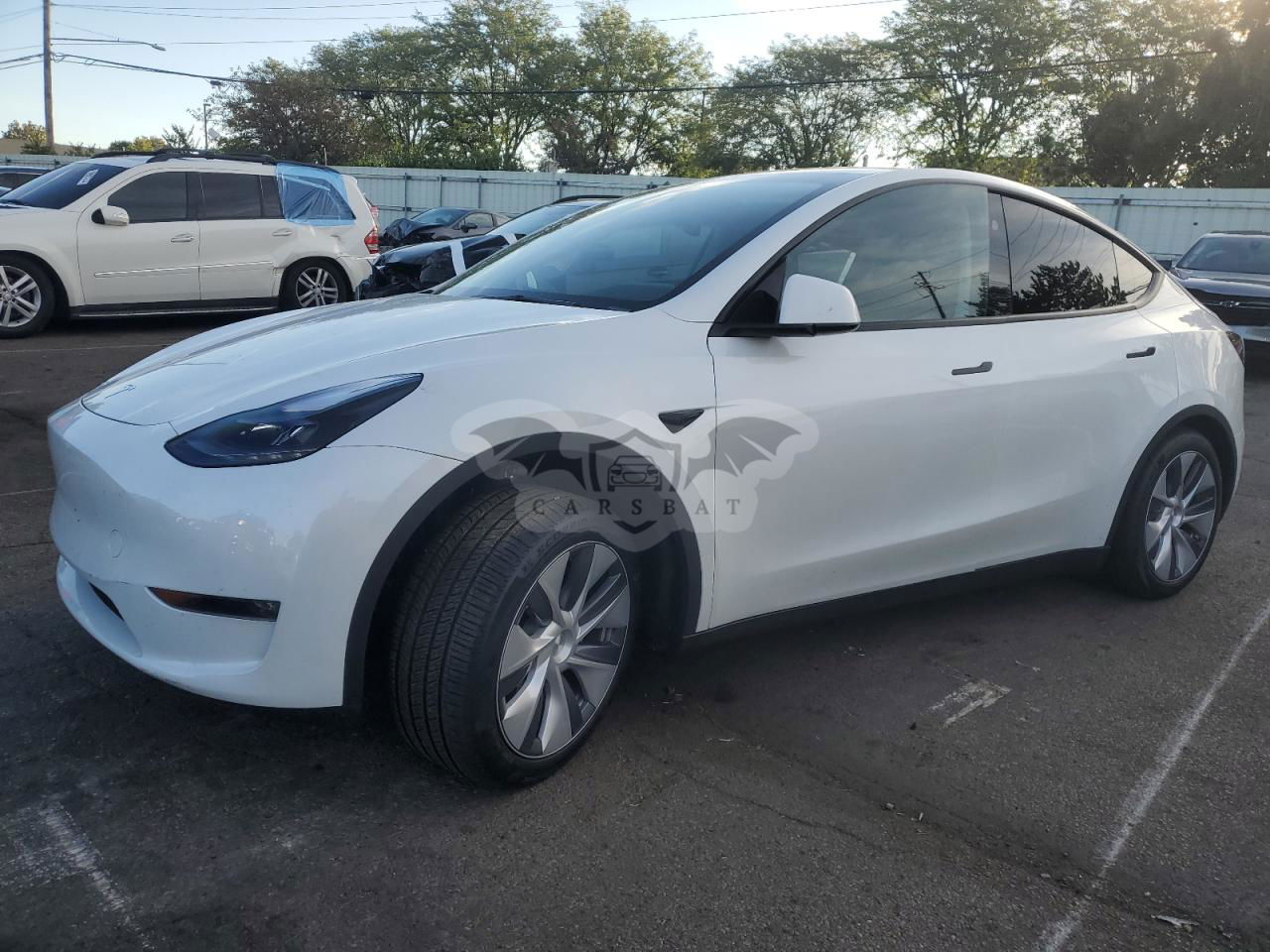 Tesla Model Y 2024