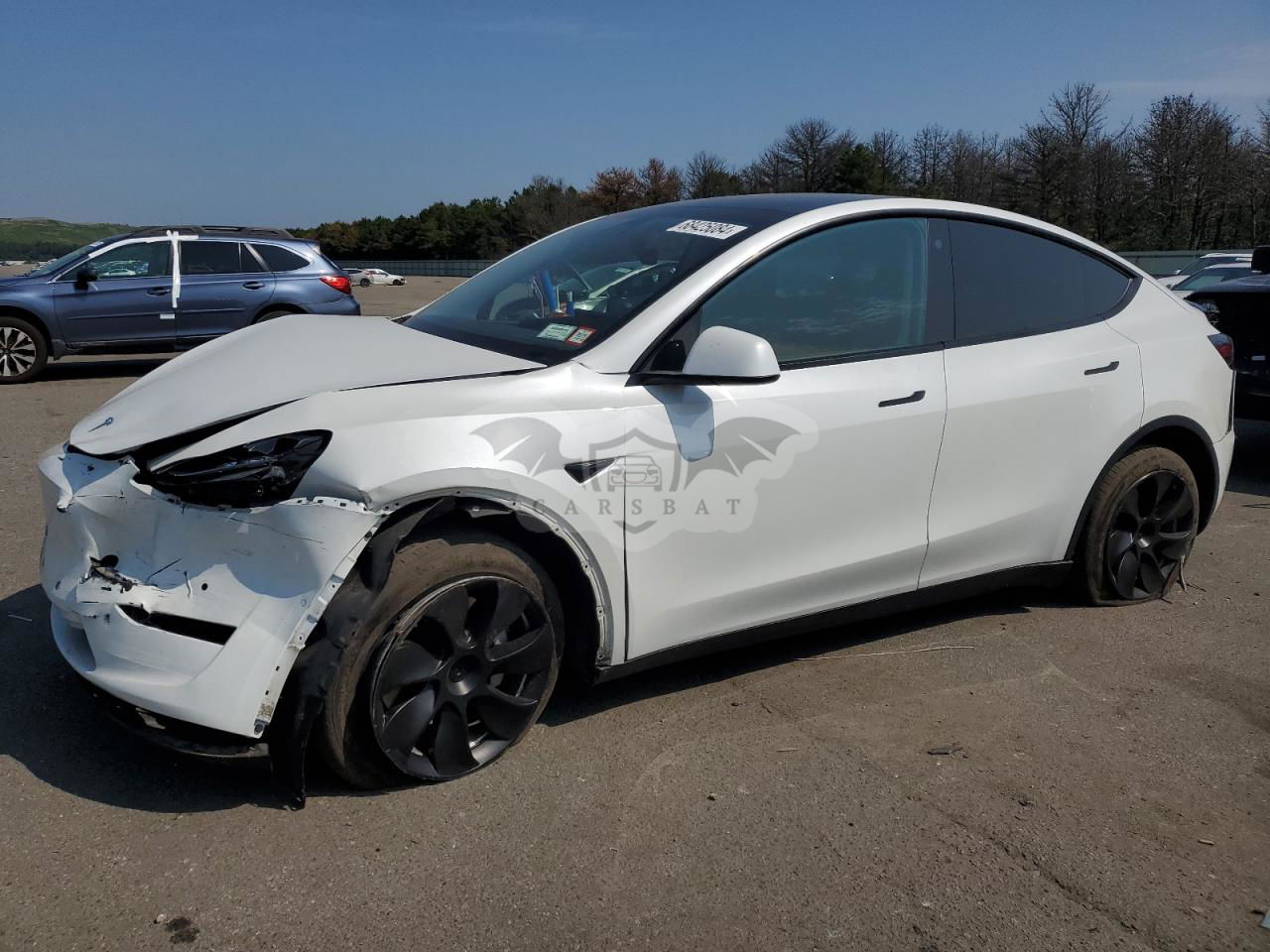Tesla Model Y 2021