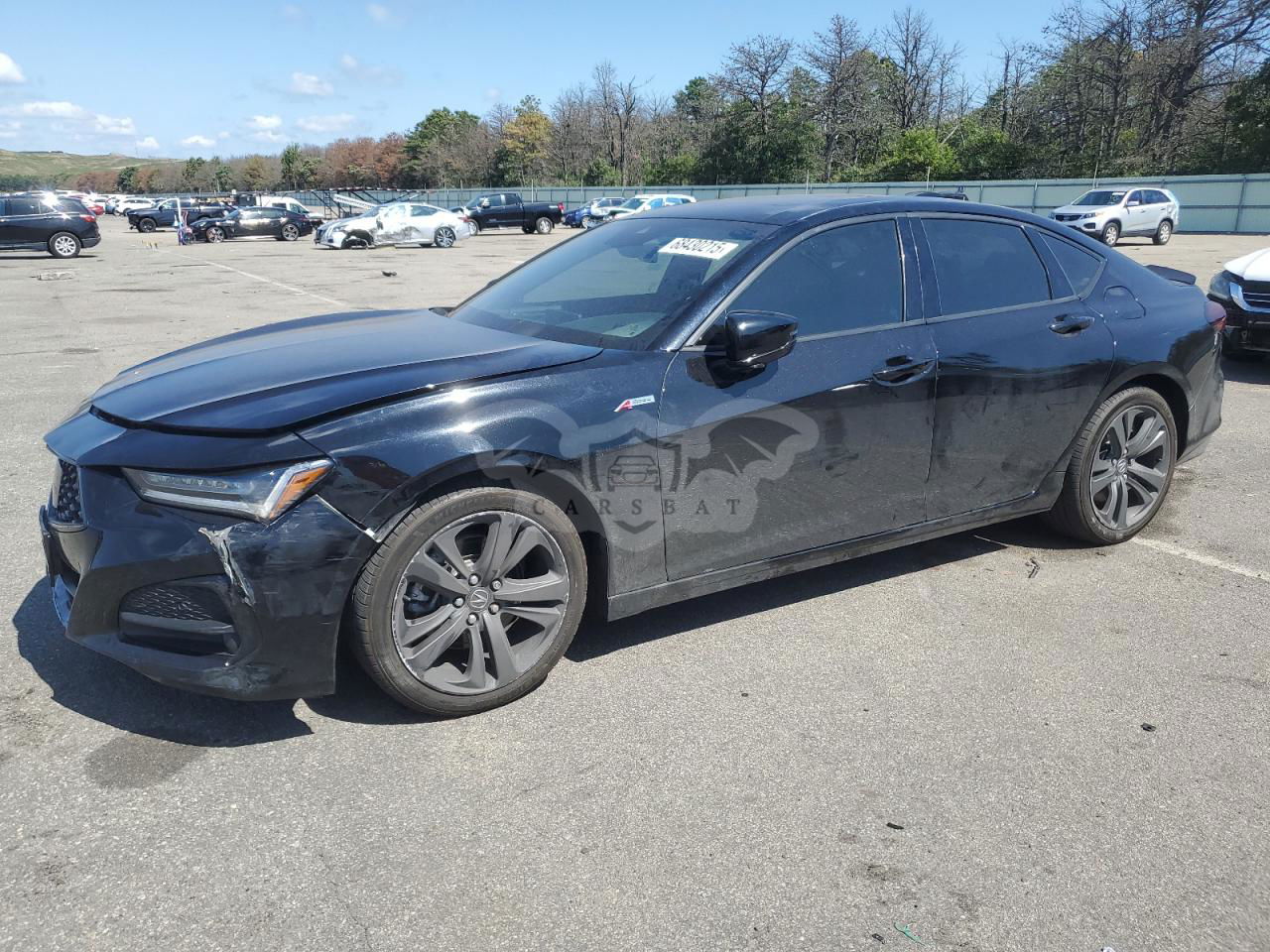 Acura TLX A-SPEC 2.0L  4 2023