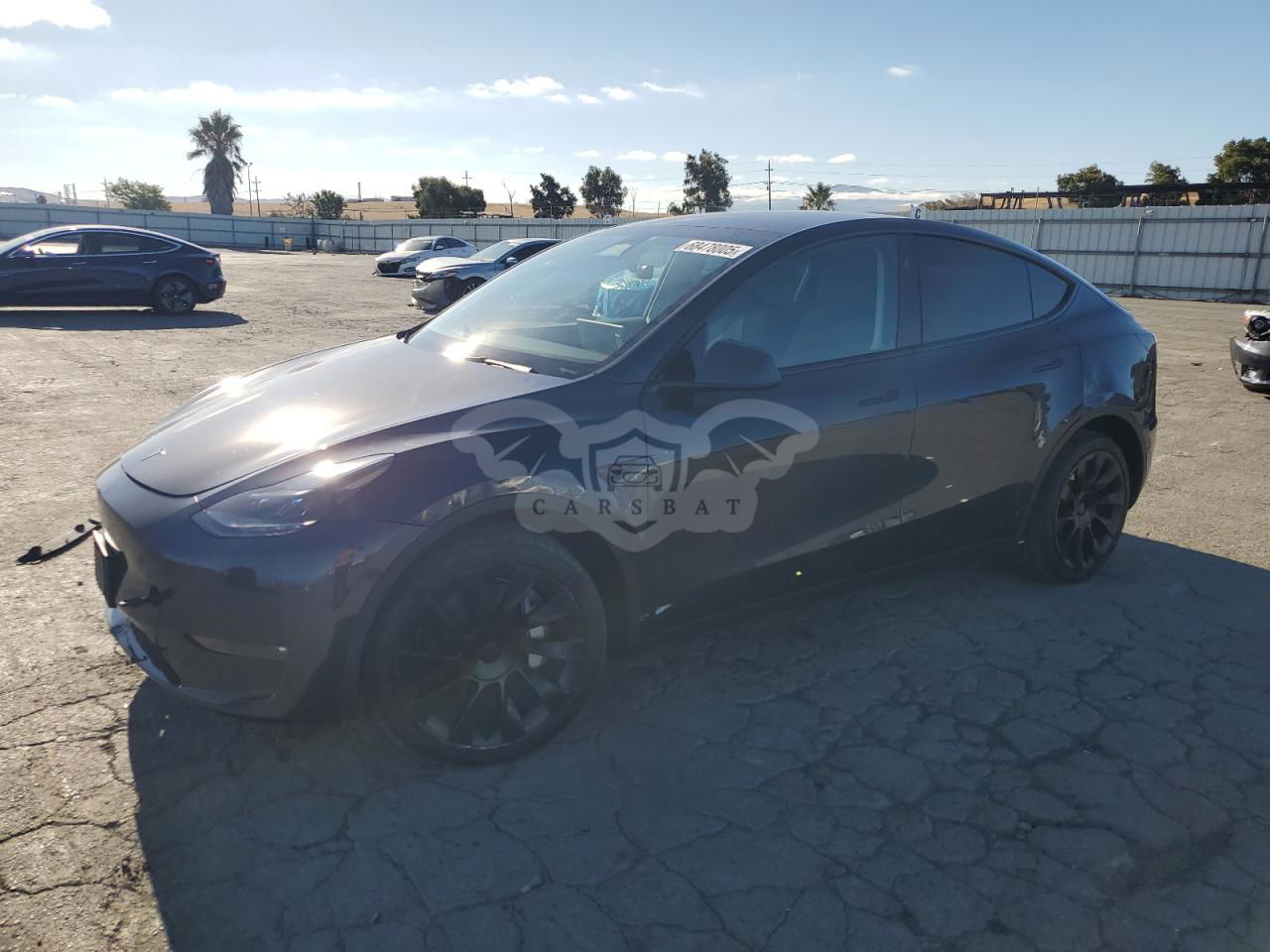 Tesla Model Y 2024