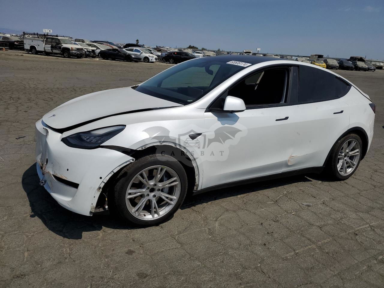 Tesla Model Y 2021
