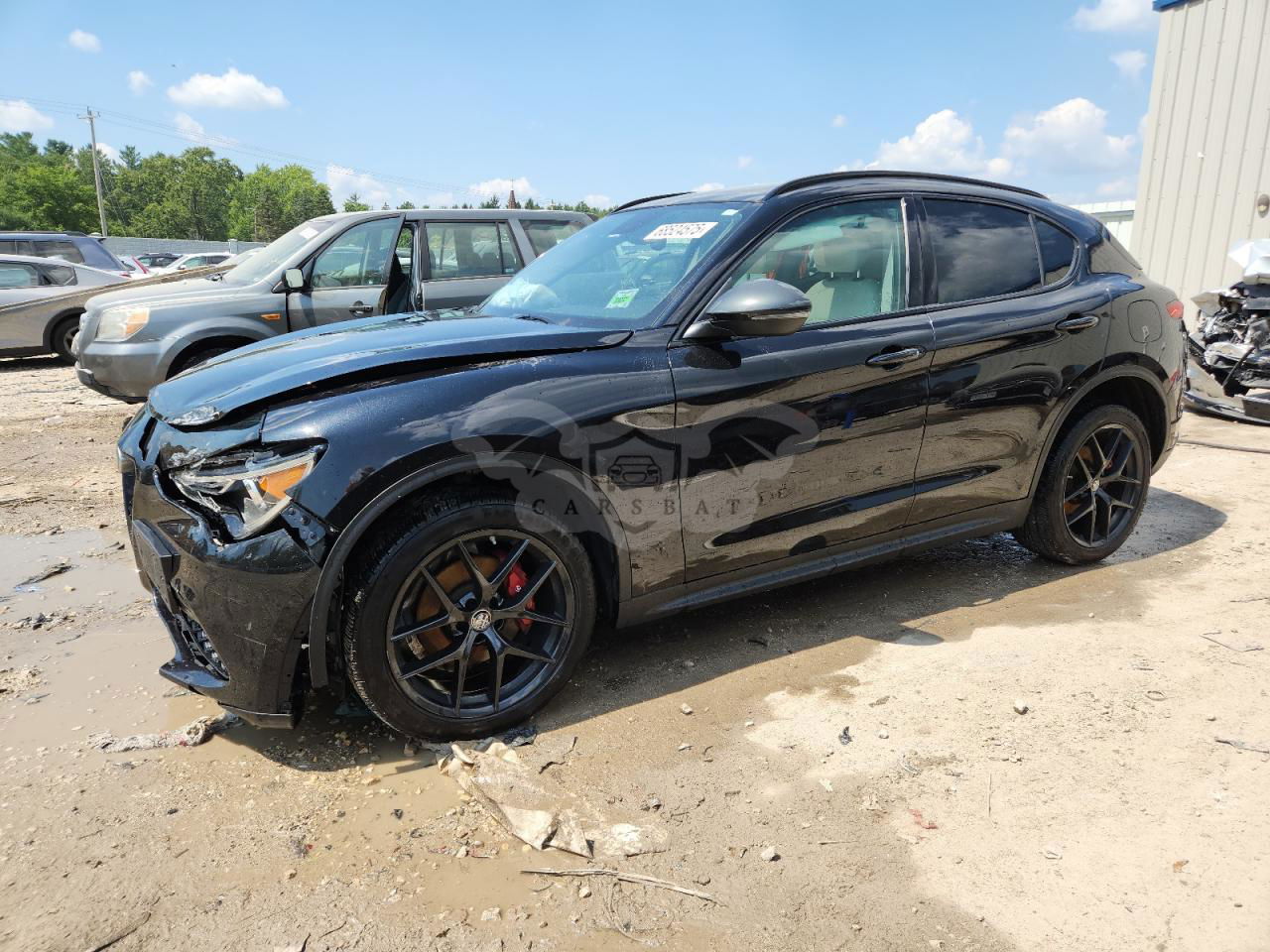 Alfa Romeo Stelvio 2.0L  4 2019