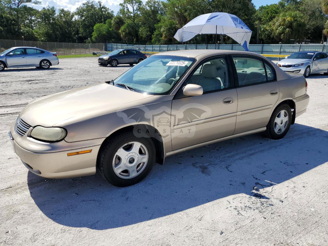 Chevrolet Malibu LS 3.1L  6 2001