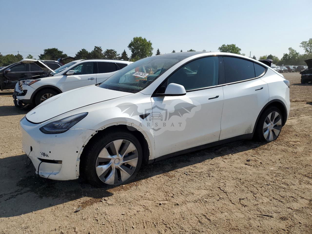 Tesla Model Y 2020