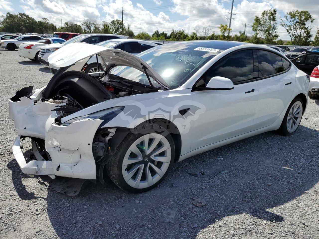 Tesla Model 3 2022
