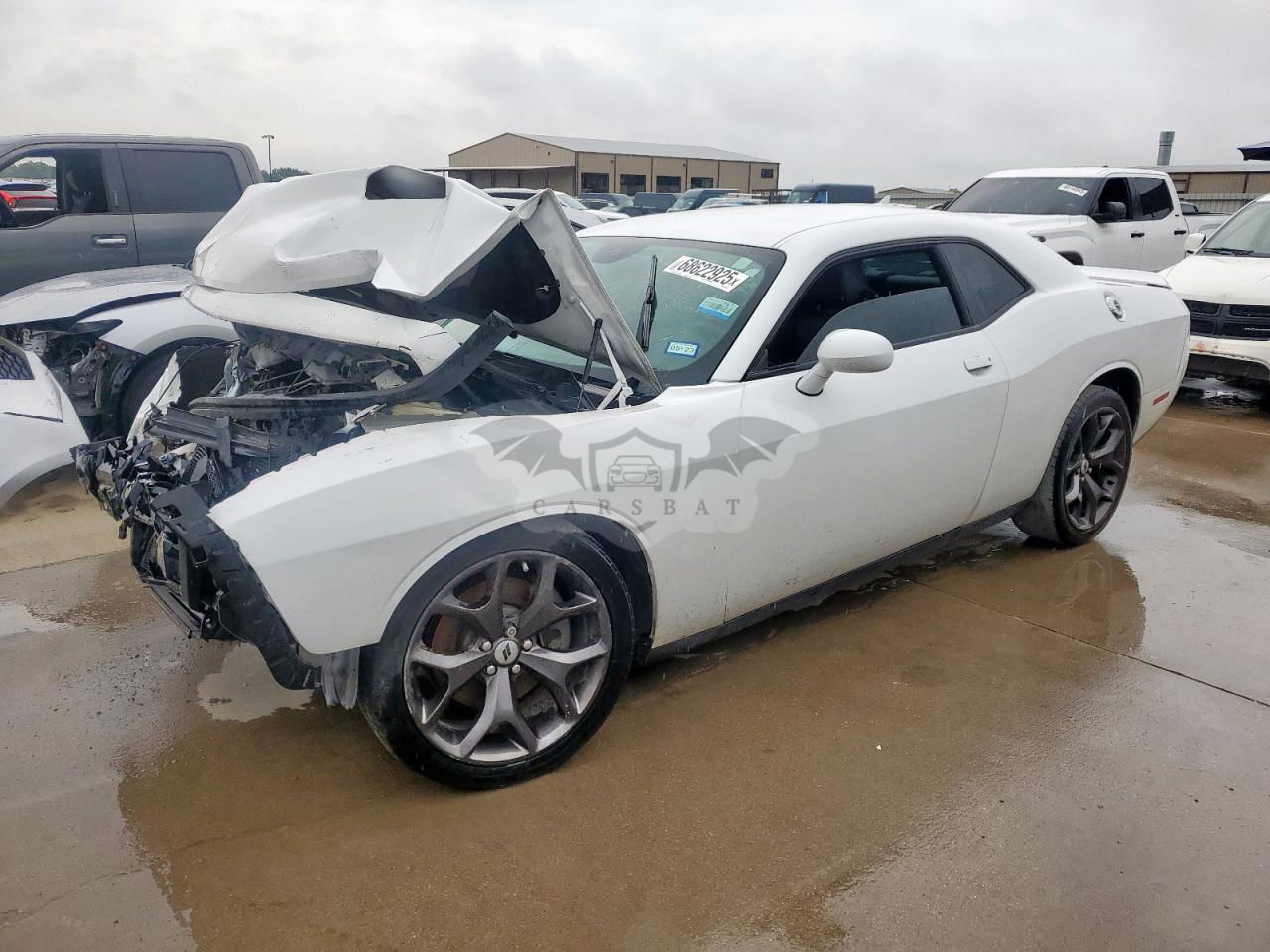 Dodge Challenger SXT 3.6L  6 2019