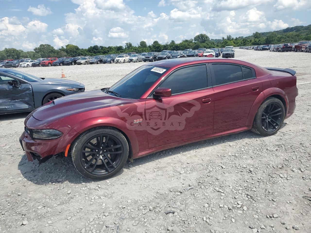 Dodge Charger SCAT PACK 6.4L  8 2020
