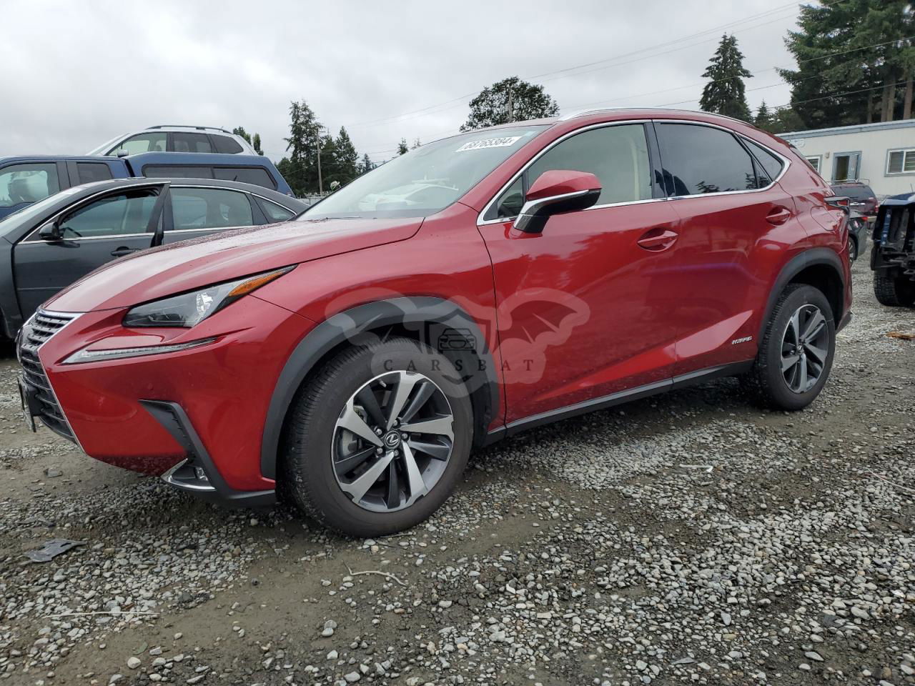 Lexus NX 2020