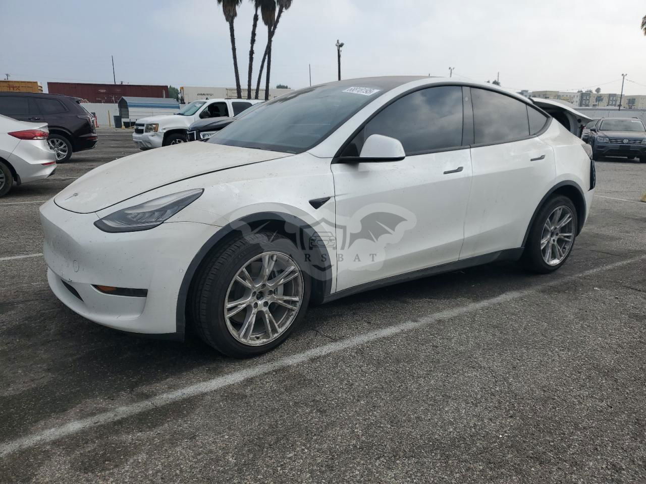 Tesla Model Y 2020