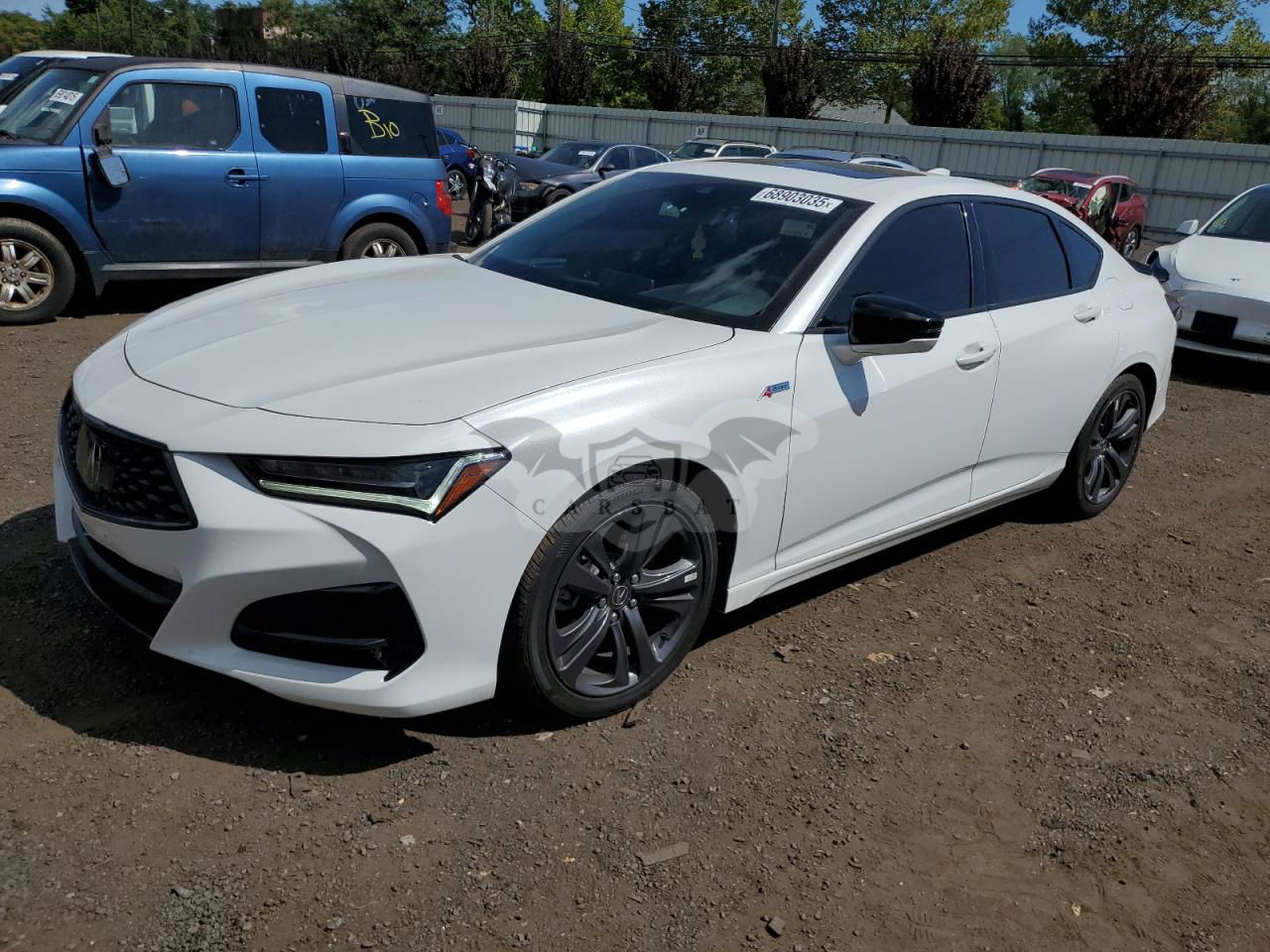 Acura TLX TECH A 2.0L  4 2023
