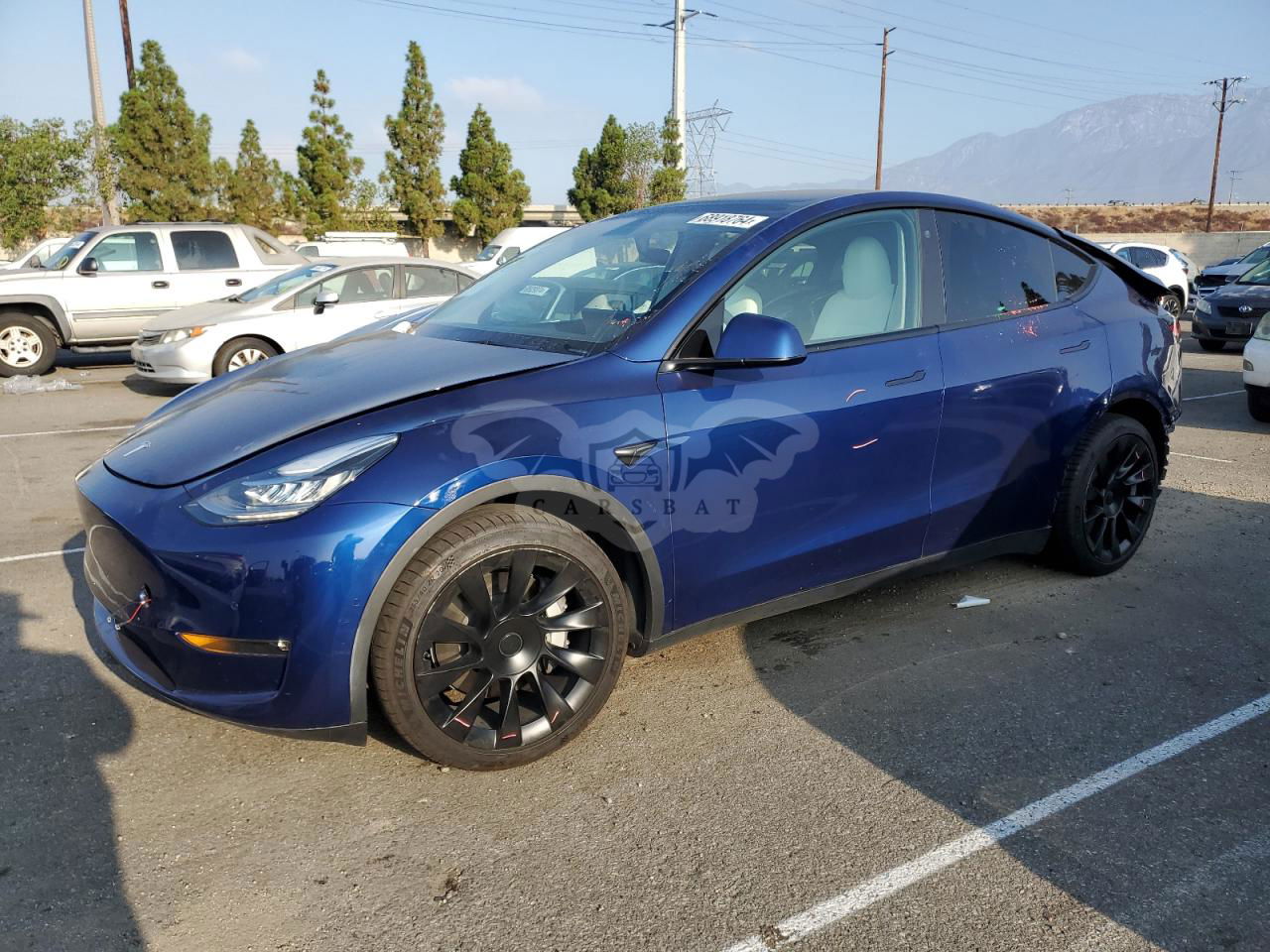 Tesla Model Y 2021
