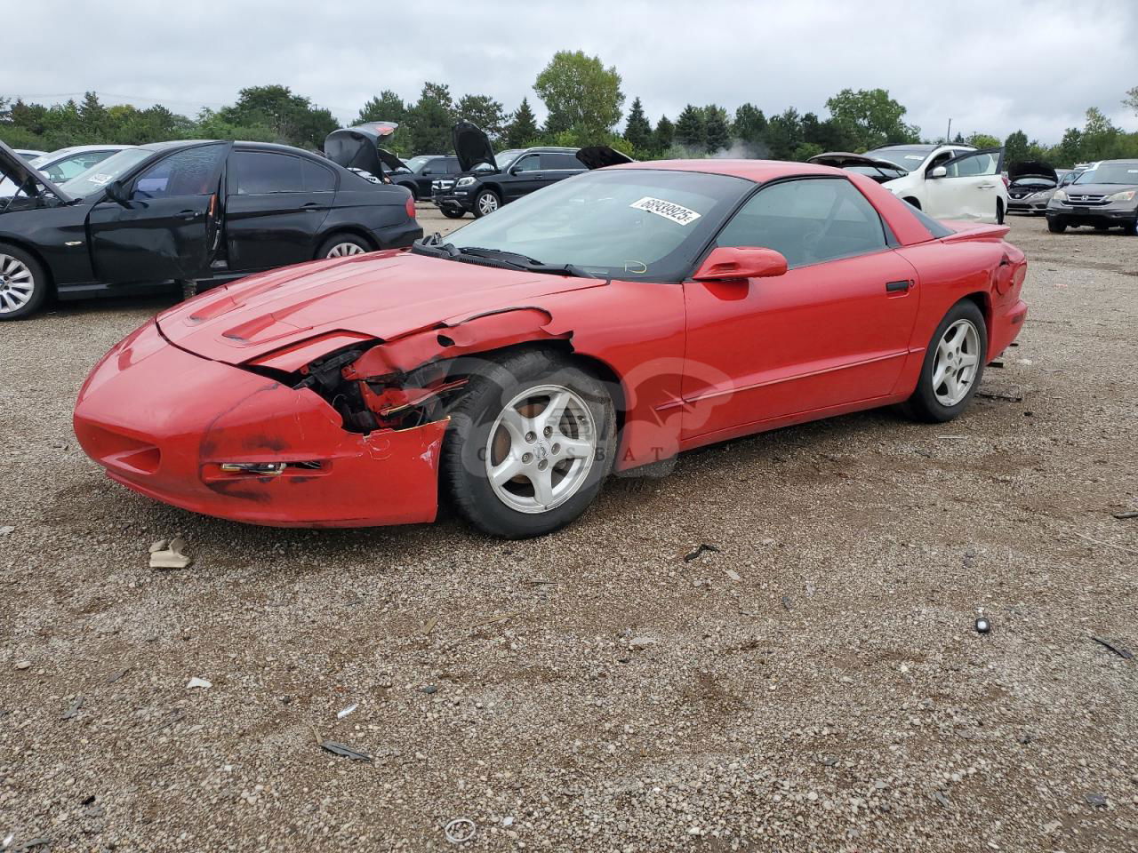 Pontiac Firebird FORMULA 5.7L  8 1997