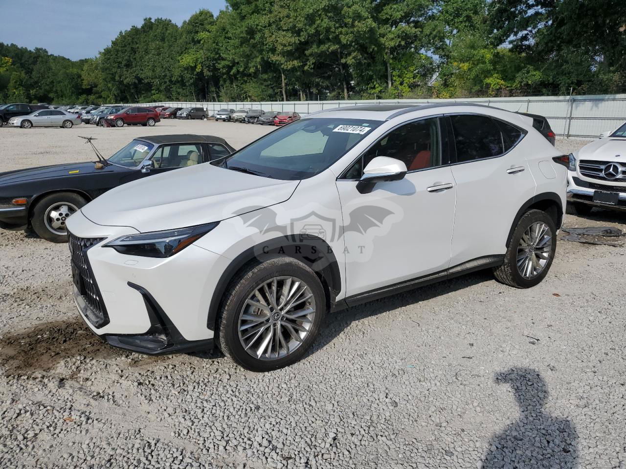 Lexus NX 350 LUXURY 2.4L  4 2024