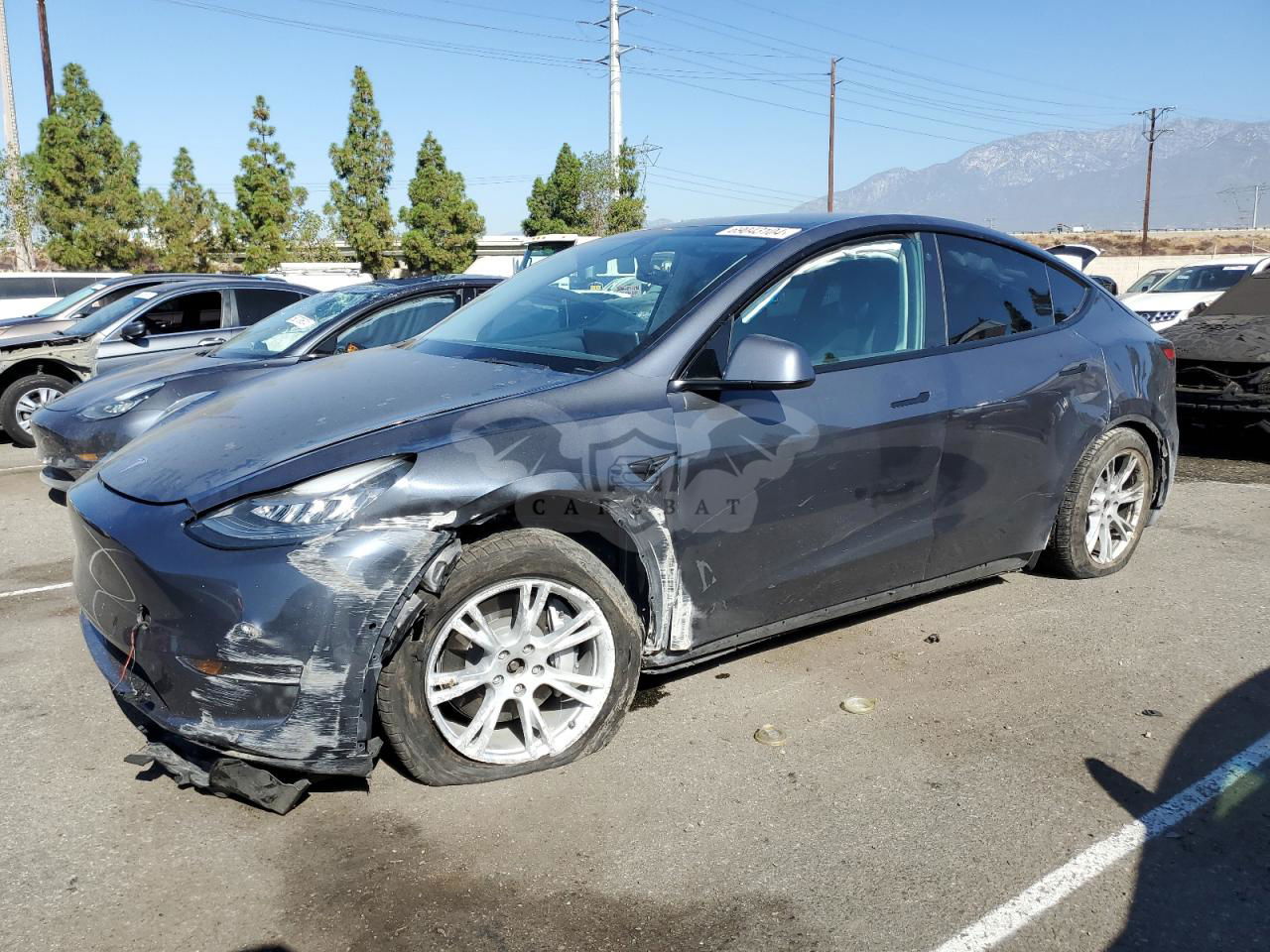 Tesla Model Y 2021