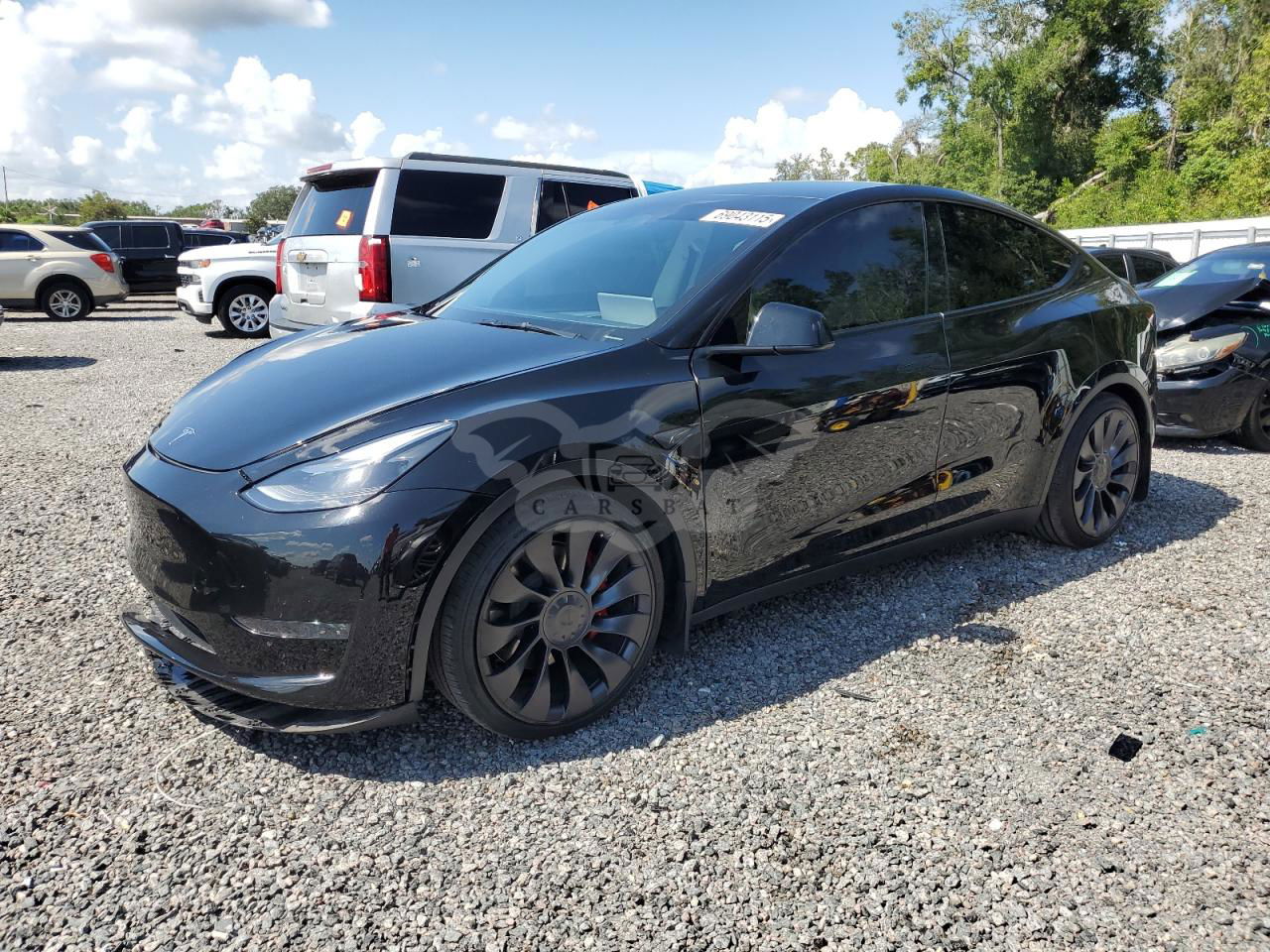 Tesla Model Y 2024