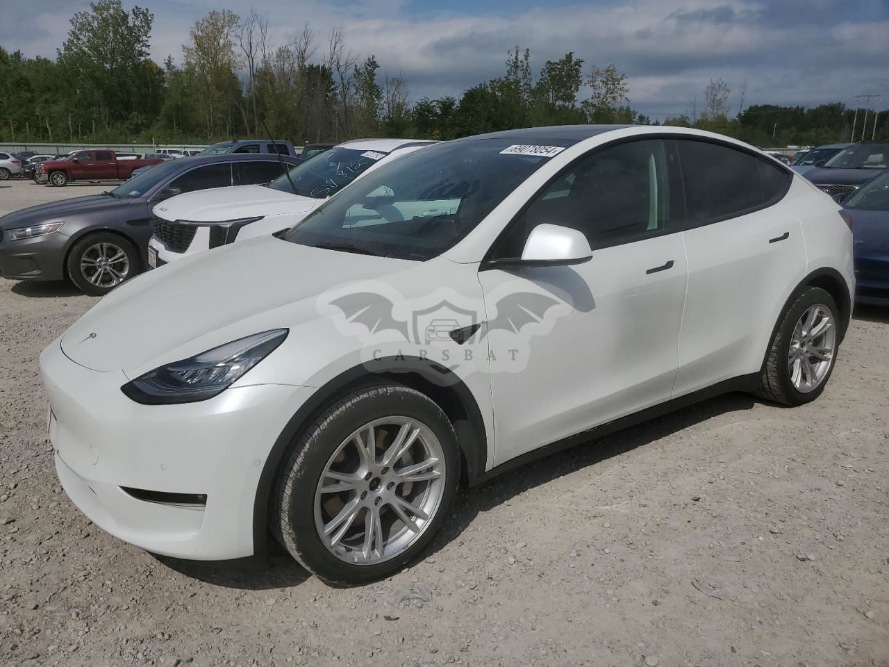 Tesla Model Y 2021