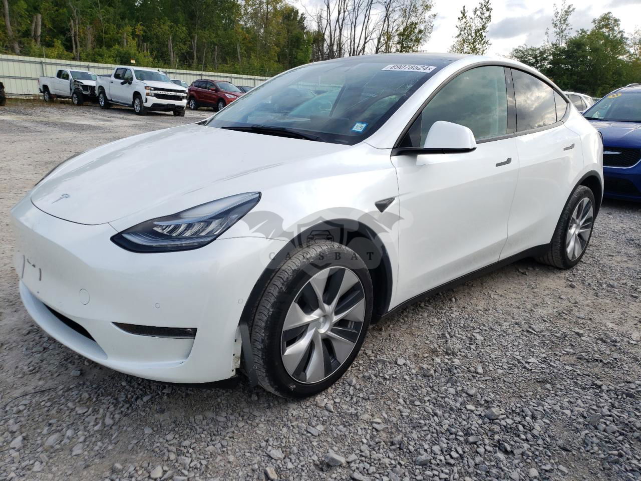 Tesla Model Y 2021