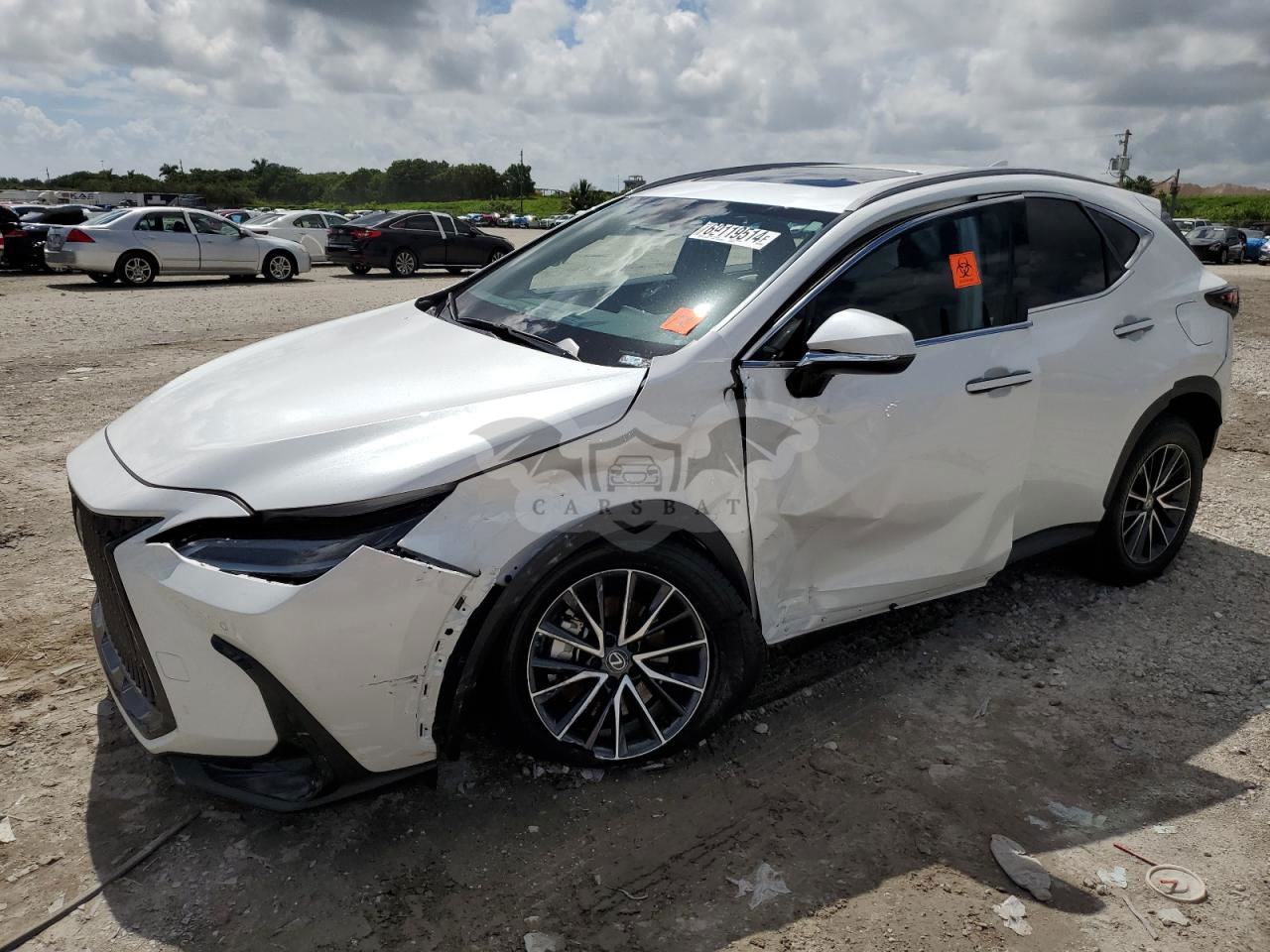 Lexus NX 250 PREMIUM 2.5L  4 2024