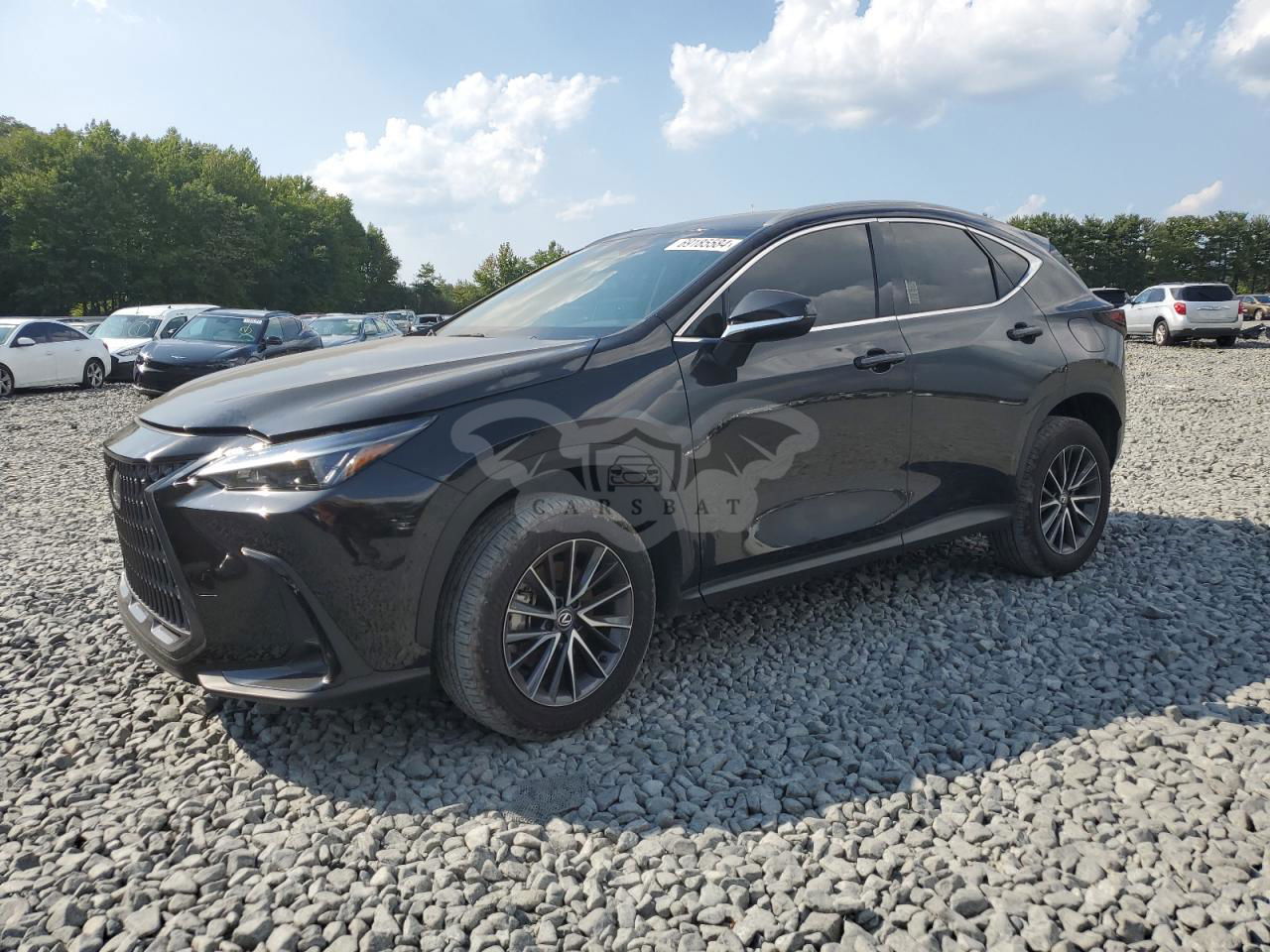 Lexus NX 250 BASE 2.5L  4 2024