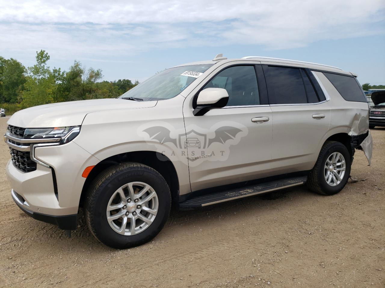 Chevrolet Tahoe K1500 LS 5.3L  8 2024