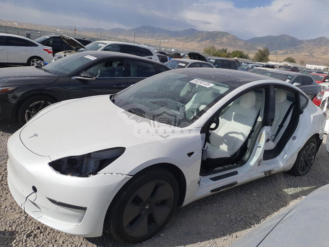 Tesla Model 3 2022